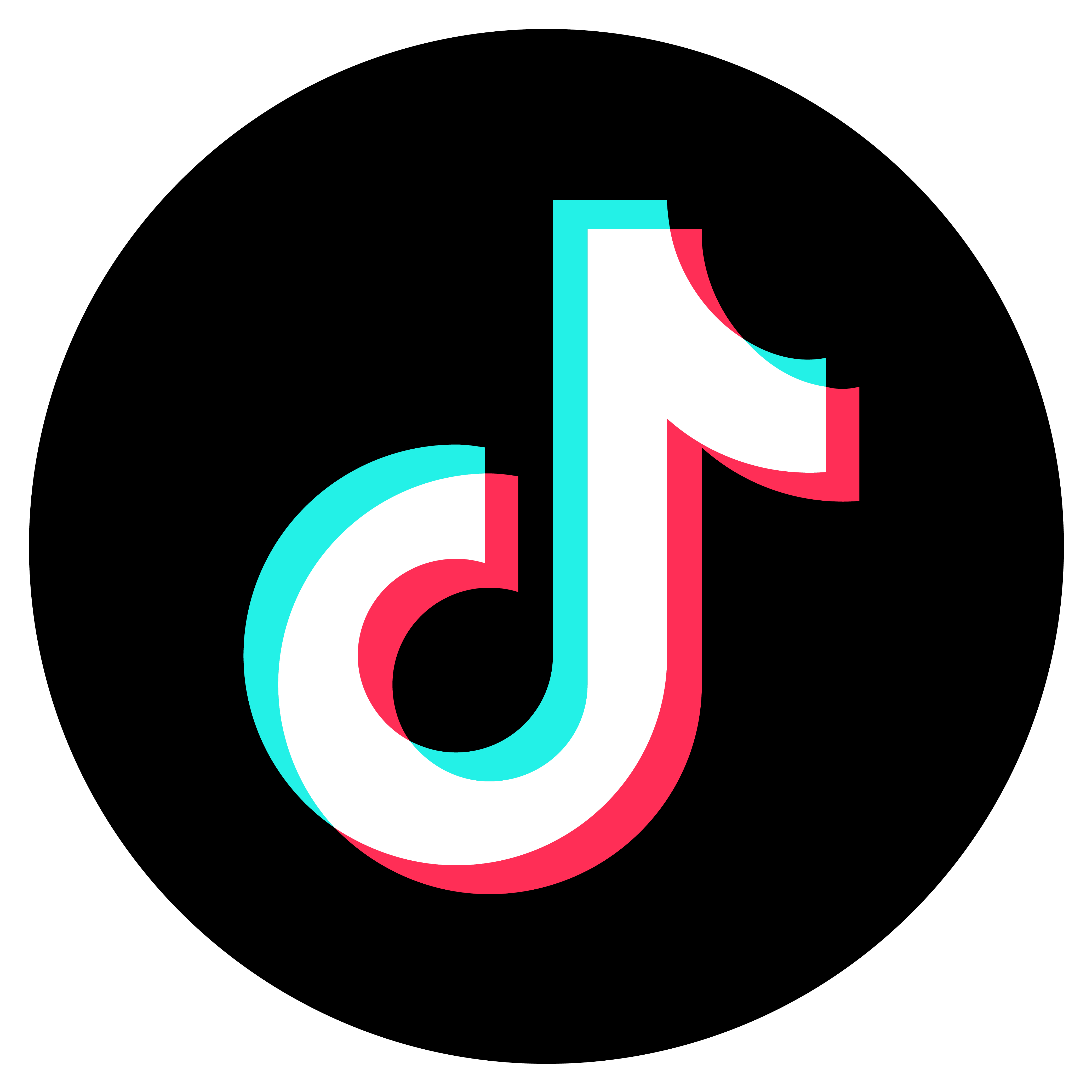 TikTok Alternative